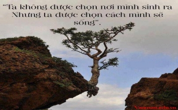 Sống có ích